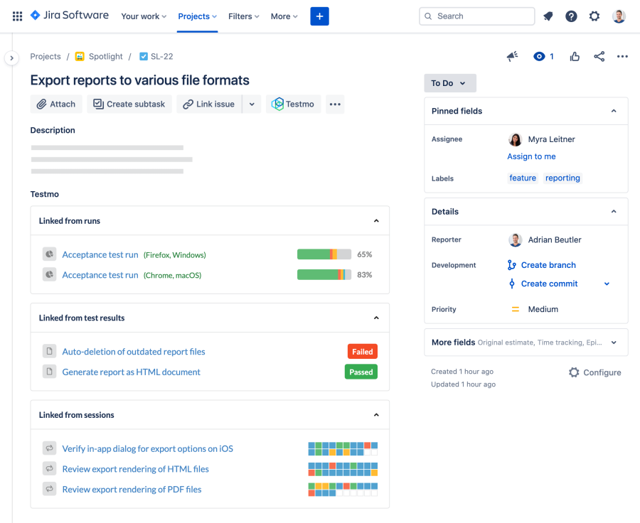 Jira test case issue page